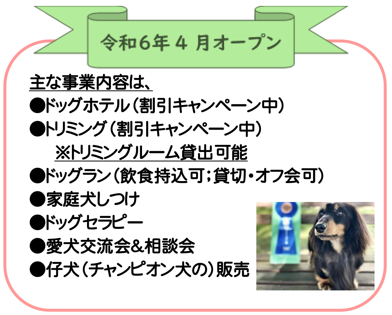 LULUDACHS(ルルダックス） よしみコレクトナビ